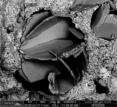 Backscatter electron image of beautiful crystal of Freidel's Salt in 50+ year old concrete. Images like this make the SEM central to concrete petrography.